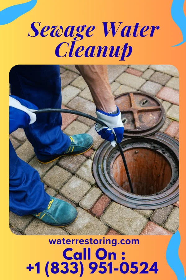 Sewage Water Cleanup in Fairmount, ND