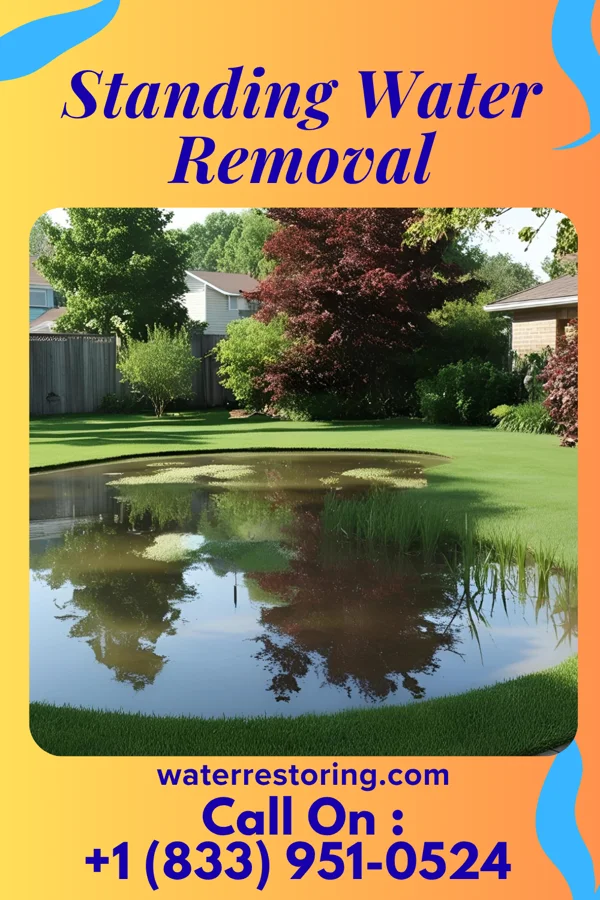Standing Water Removal in Fairmount, ND
